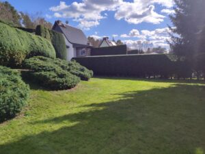 Hecken in formgeschnitten