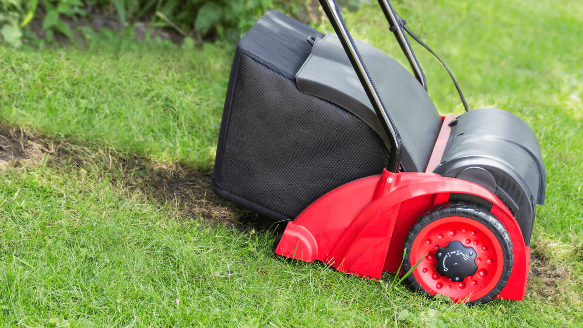 Rollrasen verlegen Eichwalde