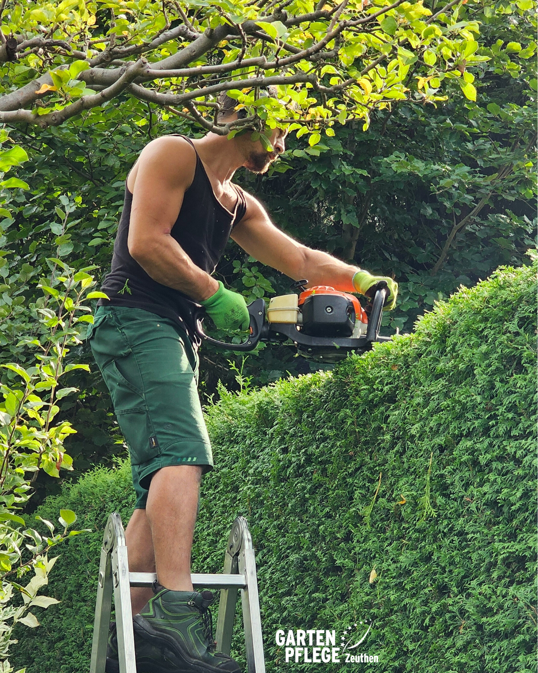 Heckenschnitt Eichwalde