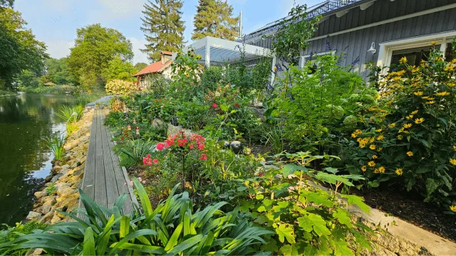 Bunt bepflanzter, gepflegter Garten mit Blumenbeeten vor einem Wohnhaus